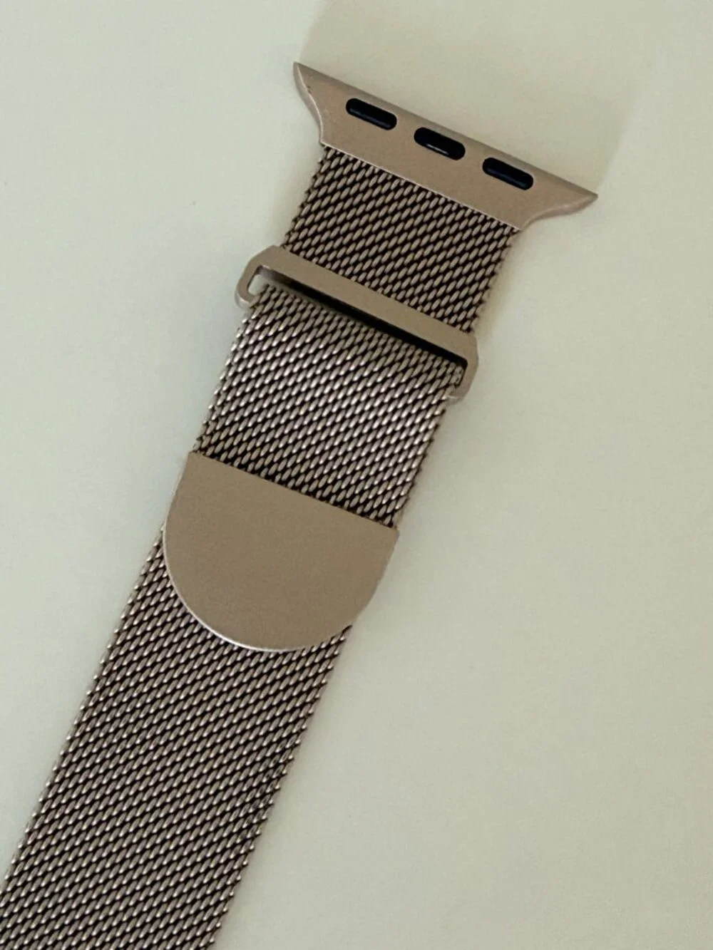 Stainless Steel Mesh Loop Magnetic Clasp Apple Watch Band